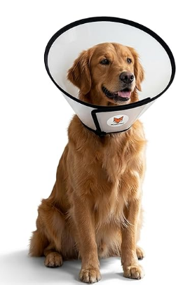 Recovery Cone Collar